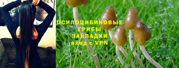 метадон Алексин