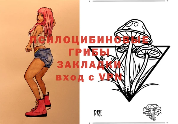 метадон Алексин