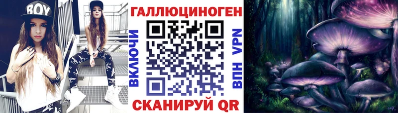 купить закладку  Ермолино  Псилоцибиновые грибы Magic Shrooms 