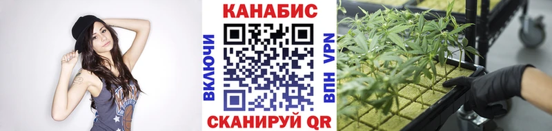 Бошки марихуана сатива  Ермолино 